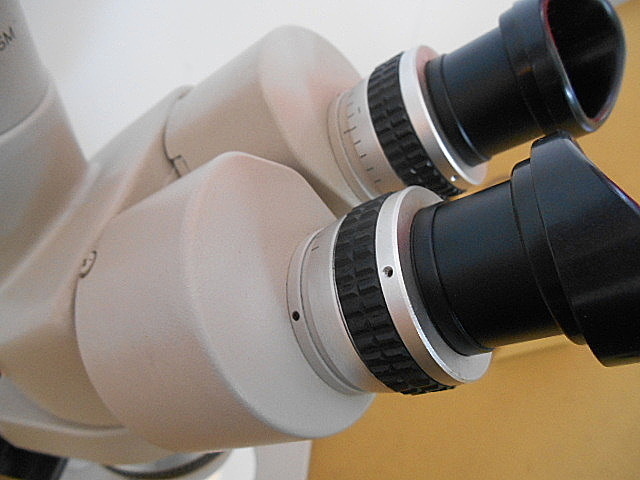 A100900 実体顕微鏡 ニコン SMZ-10_4