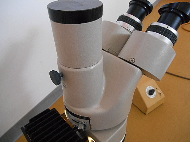 A100900 実体顕微鏡 ニコン SMZ-10_5